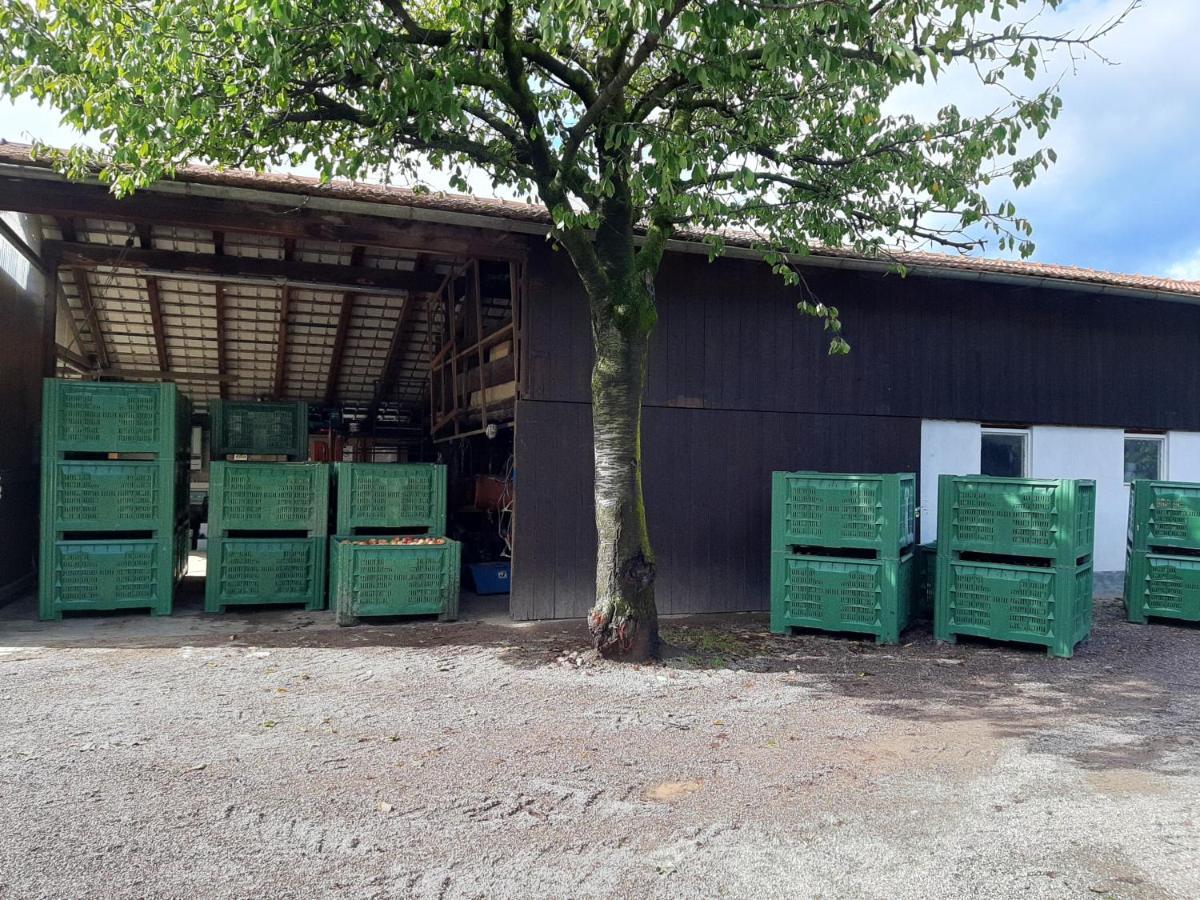 Hirschenhof Laives Exterior foto